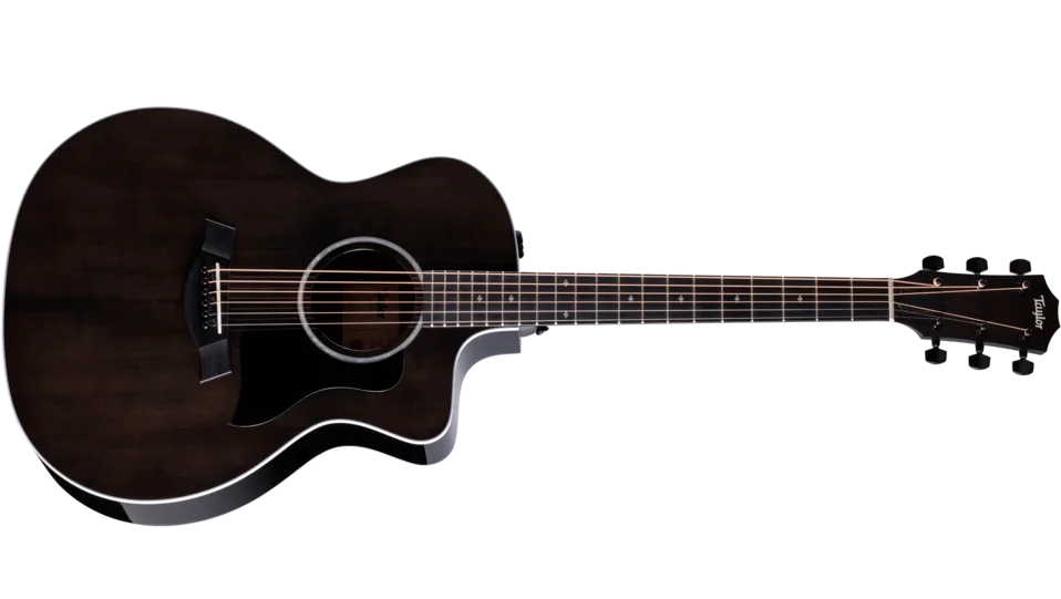 【えび】Taylor 214ce RW Plus 214ce Plus Indian Rosewood Acoustic-Electric Guitar | Taylor Guitars